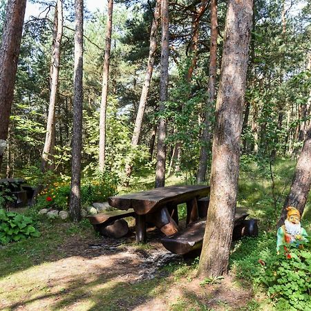 Vila Krantas Palanga Bagian luar foto