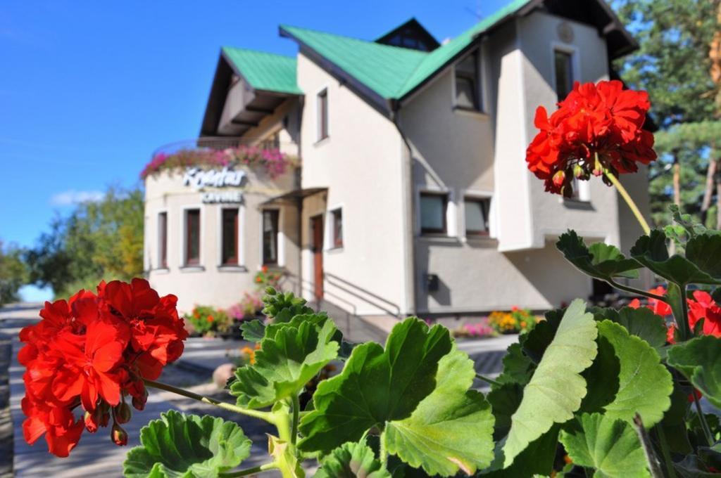 Vila Krantas Palanga Bagian luar foto